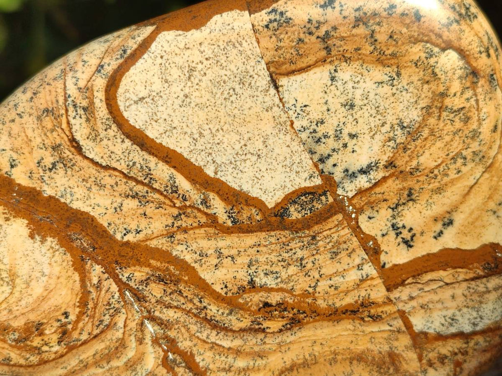 Polished Picture Stone Jasper Standing Free Forms x 2 From Ais-Ais, Namibia - Toprock Gemstones and Minerals 