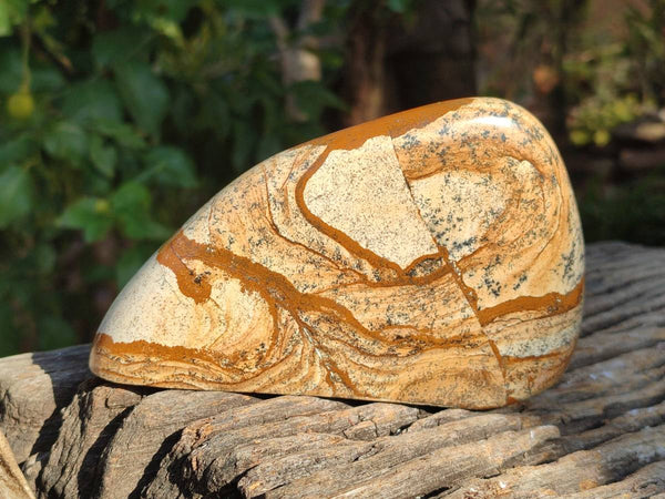 Polished Picture Stone Jasper Standing Free Forms x 2 From Ais-Ais, Namibia