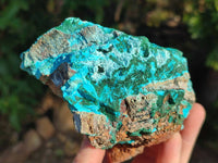 Natural A Grade Drusy Coated Chrysocolla and Malachite Specimen x 1 From Congo