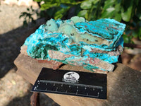 Natural A Grade Drusy Coated Chrysocolla and Malachite Specimen x 1 From Congo