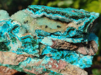 Natural A Grade Drusy Coated Chrysocolla and Malachite Specimen x 1 From Congo