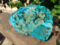 Natural A Grade Drusy Coated Chrysocolla and Malachite Specimen x 1 From Congo