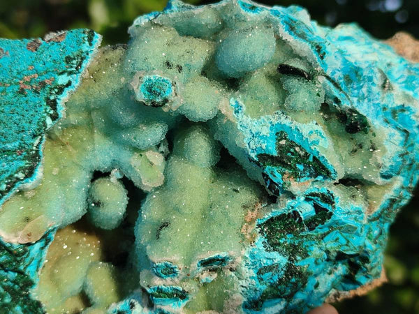 Natural A Grade Drusy Coated Chrysocolla and Malachite Specimen x 1 From Congo
