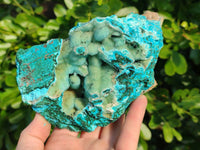 Natural A Grade Drusy Coated Chrysocolla and Malachite Specimen x 1 From Congo