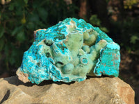 Natural A Grade Drusy Coated Chrysocolla and Malachite Specimen x 1 From Congo