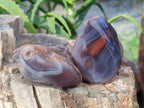 Polished On One Side Red Sashe River Agate Nodules x 20 From Zimbabwe - Toprock Gemstones and Minerals 