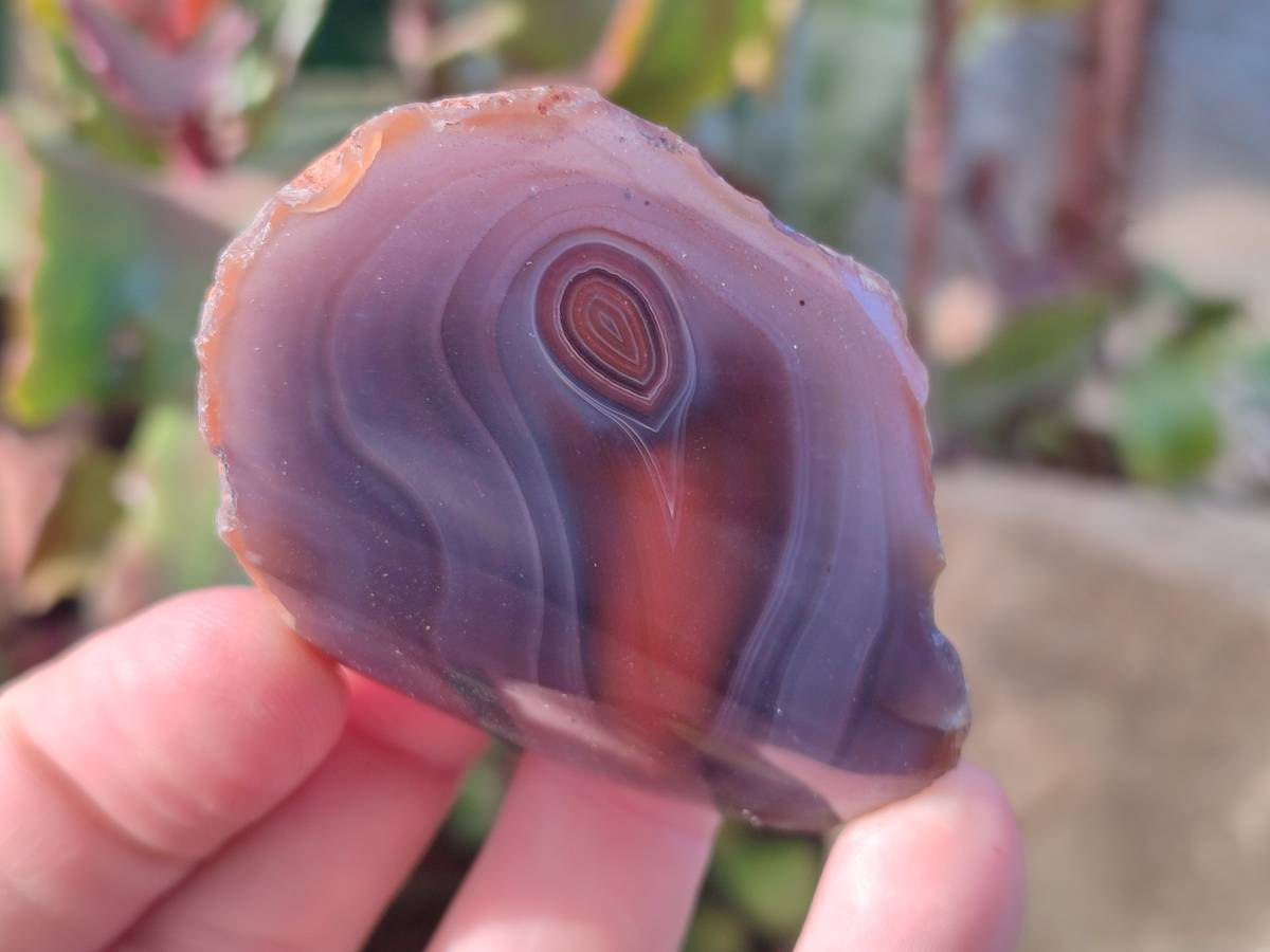 Polished On One Side Red Sashe River Agate Nodules x 20 From Zimbabwe - Toprock Gemstones and Minerals 