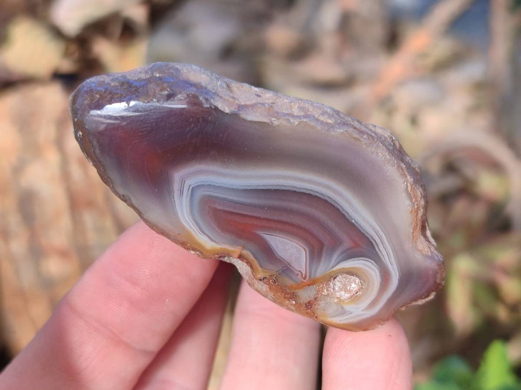Polished On One Side Red Sashe River Agate Nodules x 20 From Zimbabwe - Toprock Gemstones and Minerals 