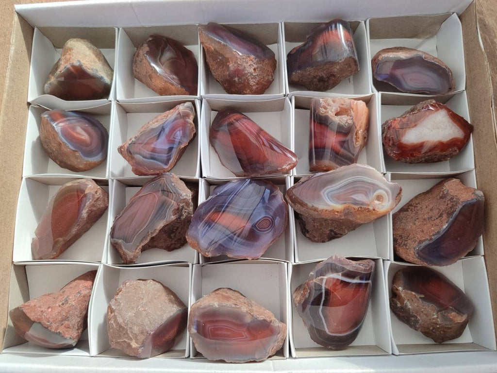 Polished On One Side Red Sashe River Agate Nodules x 20 From Zimbabwe - Toprock Gemstones and Minerals 