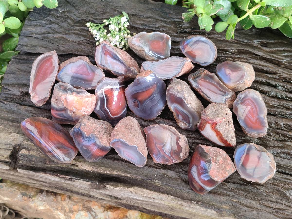 Polished On One Side Red Sashe River Agate Nodules x 20 From Zimbabwe - Toprock Gemstones and Minerals 