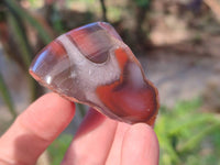 Polished On One Side Red Sashe River Agate Nodules x 20 From Zimbabwe - Toprock Gemstones and Minerals 
