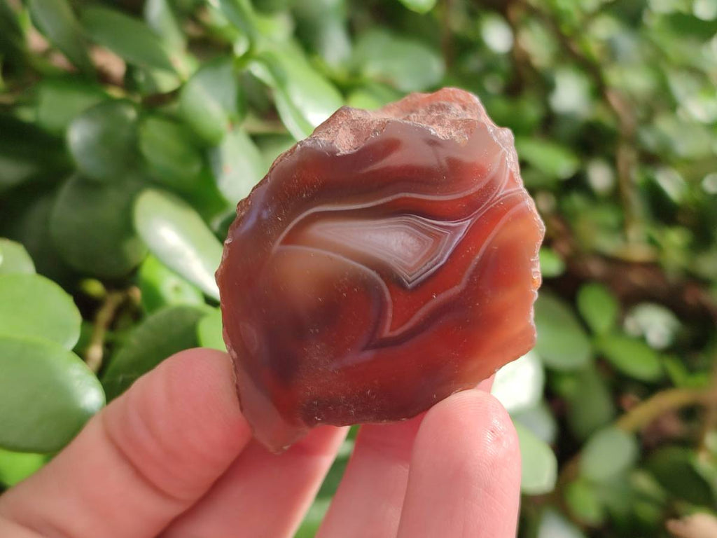 Polished On One Side Red Sashe River Agate Nodules x 20 From Zimbabwe - Toprock Gemstones and Minerals 