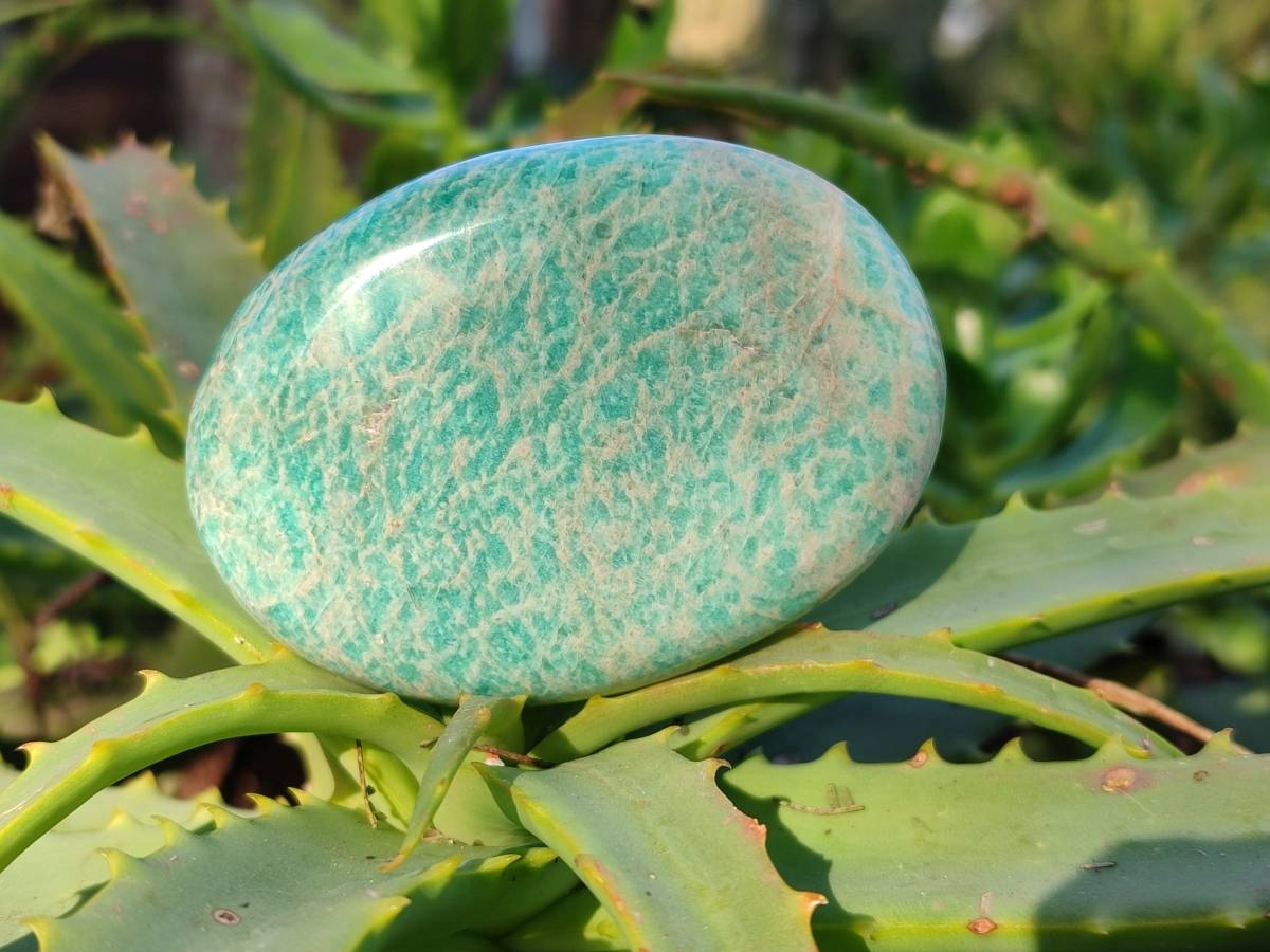 Polished Amazonite Palm Stones x 12 From Madagascar - Toprock Gemstones and Minerals 