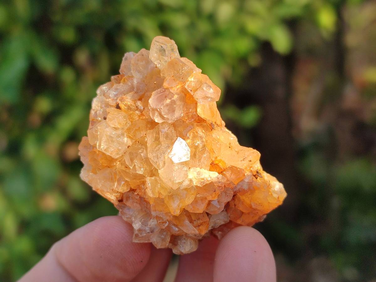 Natural Mixed African Crystals and Clusters x 2.8 Kg Lot From Southern Africa - Toprock Gemstones and Minerals 