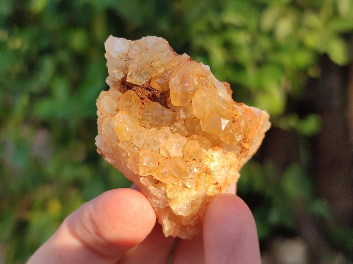 Natural Mixed African Crystals and Clusters x 2.8 Kg Lot From Southern Africa - Toprock Gemstones and Minerals 