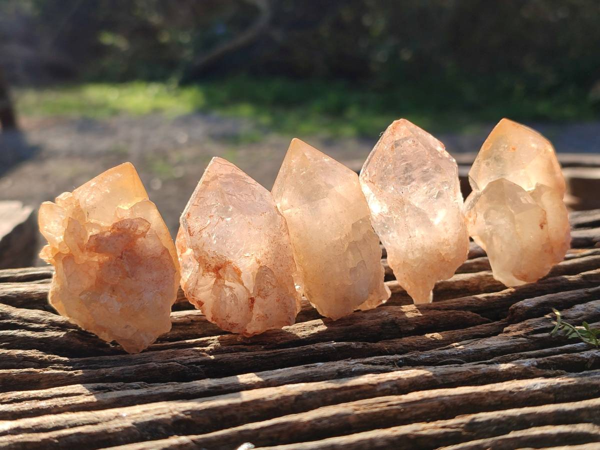 Natural Mixed African Crystals and Clusters x 2.8 Kg Lot From Southern Africa - Toprock Gemstones and Minerals 