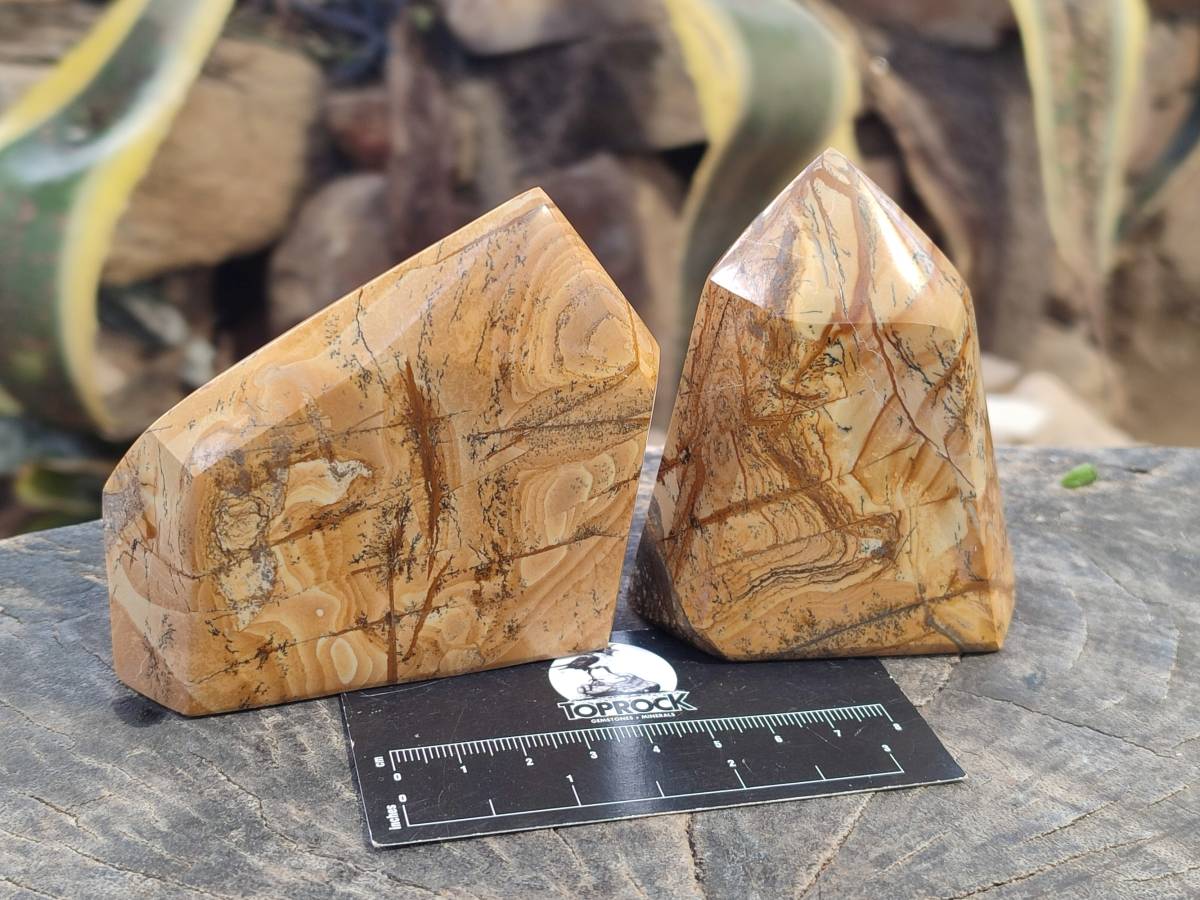 Polished Picture Stone Jasper Points x 3 From Ais-Ais, Namibia - Toprock Gemstones and Minerals 