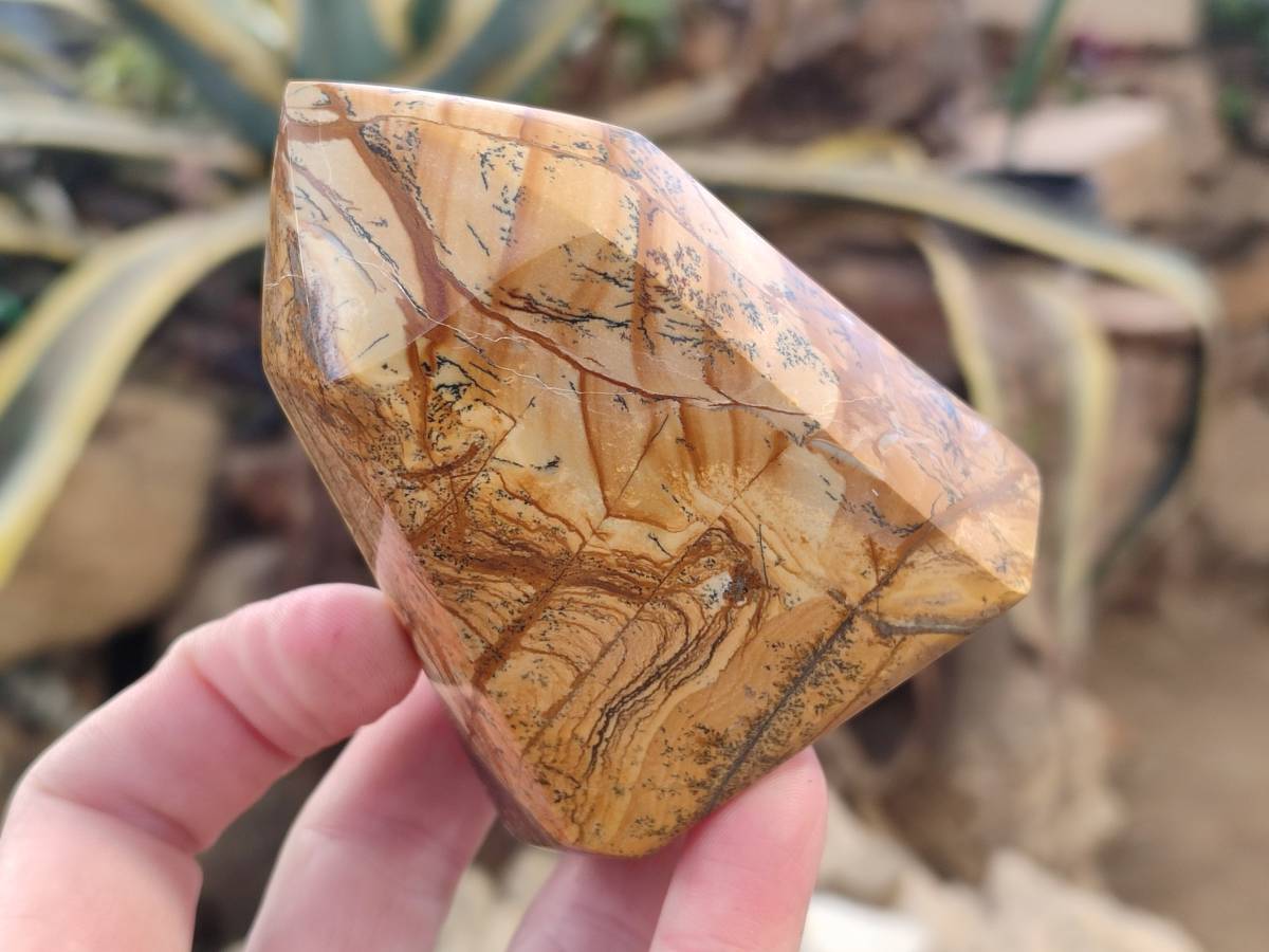 Polished Picture Stone Jasper Points x 3 From Ais-Ais, Namibia - Toprock Gemstones and Minerals 