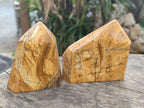 Polished Picture Stone Jasper Points x 3 From Ais-Ais, Namibia - Toprock Gemstones and Minerals 