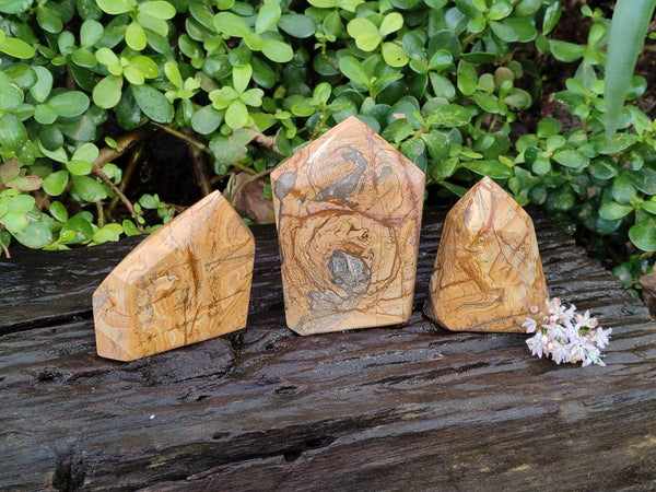 Polished Picture Stone Jasper Points x 3 From Ais-Ais, Namibia - Toprock Gemstones and Minerals 