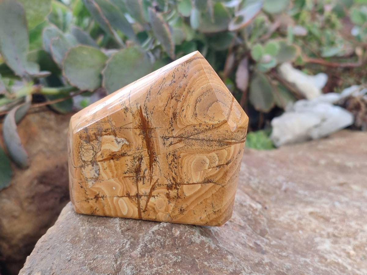 Polished Picture Stone Jasper Points x 3 From Ais-Ais, Namibia - Toprock Gemstones and Minerals 