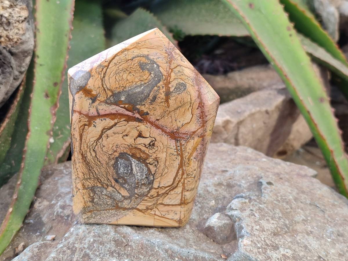 Polished Picture Stone Jasper Points x 3 From Ais-Ais, Namibia - Toprock Gemstones and Minerals 