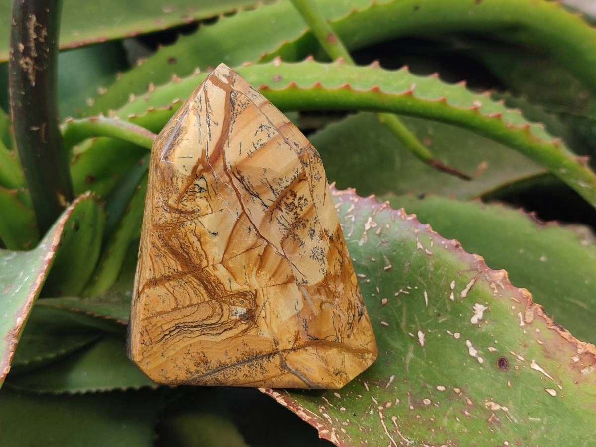 Polished Picture Stone Jasper Points x 3 From Ais-Ais, Namibia - Toprock Gemstones and Minerals 