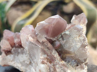 Natural Hematoid Quartz Clusters x 4 From Zimbabwe