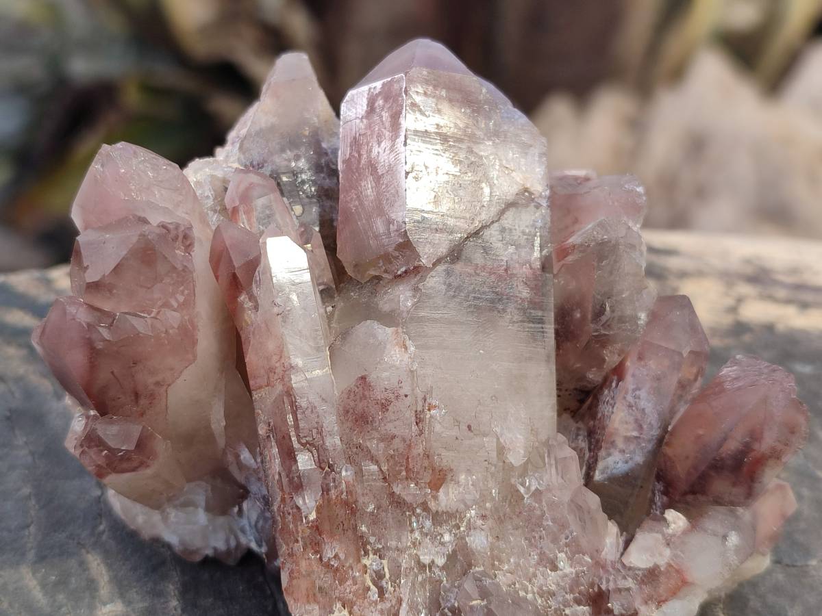 Natural Hematoid Quartz Clusters x 4 From Zimbabwe - Toprock Gemstones and Minerals 