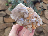 Natural Hematoid Quartz Clusters x 4 From Zimbabwe