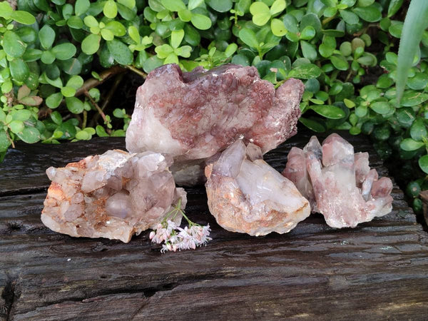 Natural Hematoid Quartz Clusters x 4 From Zimbabwe