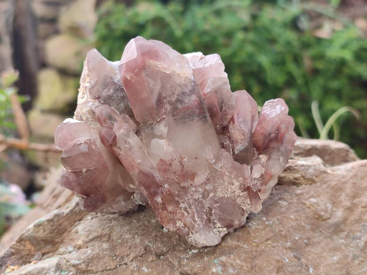 Natural Hematoid Quartz Clusters x 4 From Zimbabwe - Toprock Gemstones and Minerals 