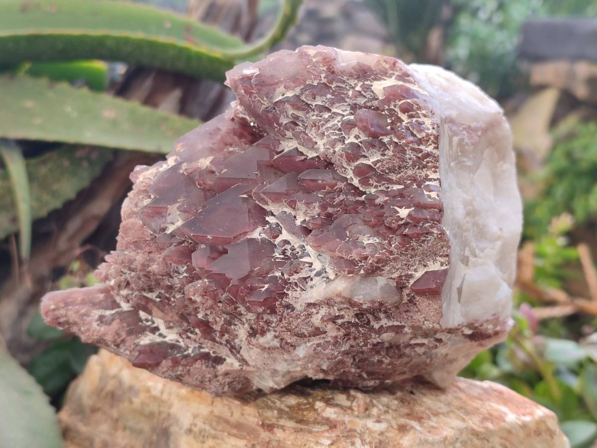 Natural Hematoid Quartz Clusters x 4 From Zimbabwe - Toprock Gemstones and Minerals 