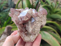 Natural Hematoid Quartz Clusters x 4 From Zimbabwe