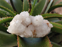 Natural White Spirit Quartz Clusters x 4 From Boekenhouthoek, South Africa