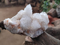 Natural White Spirit Quartz Clusters x 4 From Boekenhouthoek, South Africa