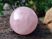 Polished Star Gemmy Rose Quartz Spheres x 2 From Madagascar