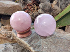 Polished Star Gemmy Rose Quartz Spheres x 2 From Madagascar - Toprock Gemstones and Minerals 