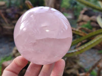 Polished Star Gemmy Rose Quartz Spheres x 2 From Madagascar