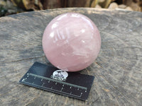 Polished Star Gemmy Rose Quartz Spheres x 2 From Madagascar