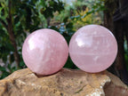 Polished Star Gemmy Rose Quartz Spheres x 2 From Madagascar - Toprock Gemstones and Minerals 