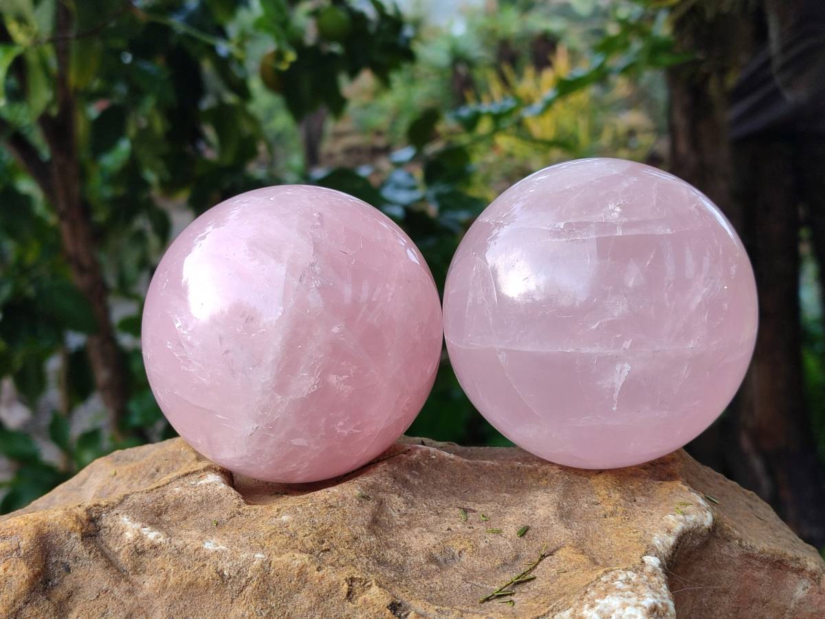 Polished Star Gemmy Rose Quartz Spheres x 2 From Madagascar - Toprock Gemstones and Minerals 