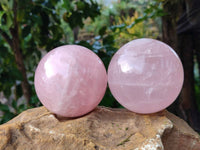 Polished Star Gemmy Rose Quartz Spheres x 2 From Madagascar