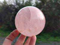 Polished Star Gemmy Rose Quartz Spheres x 2 From Madagascar