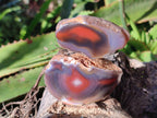 Polished On One Side Red Sashe River Agate Nodules x 12 From Zimbabwe - Toprock Gemstones and Minerals 