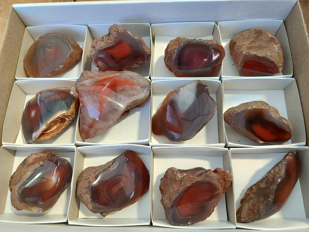 Polished On One Side Red Sashe River Agate Nodules x 12 From Zimbabwe - Toprock Gemstones and Minerals 