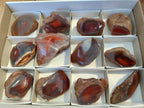 Polished On One Side Red Sashe River Agate Nodules x 12 From Zimbabwe - Toprock Gemstones and Minerals 