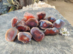 Polished On One Side Red Sashe River Agate Nodules x 12 From Zimbabwe - Toprock Gemstones and Minerals 