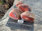 Polished On One Side Red Sashe River Agate Nodules x 12 From Zimbabwe - Toprock Gemstones and Minerals 