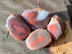 Polished On One Side Red Sashe River Agate Nodules x 12 From Zimbabwe - Toprock Gemstones and Minerals 